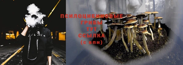 дмт Беломорск