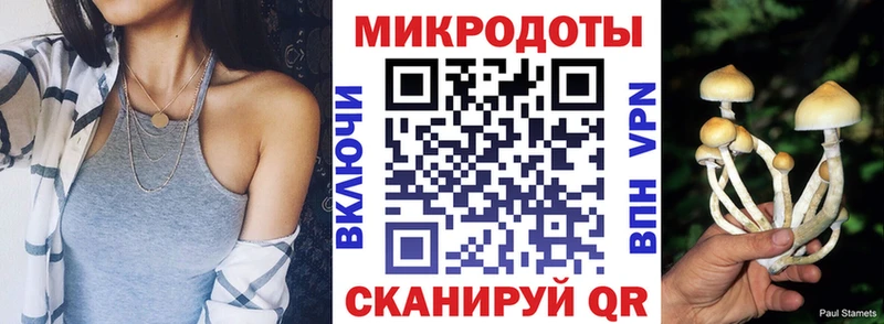 дарнет шоп Мыски гидра ONION Псилоцибиновые грибы прущие грибы